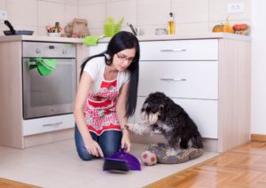 Frau entfernt Kot Ihre Hundes