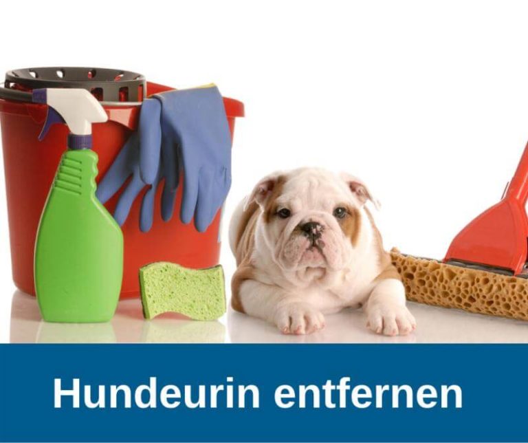 Hundeurin entfernen