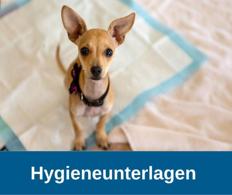 Hygieneunterlagen Hund