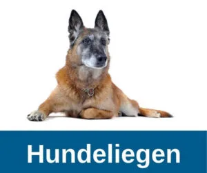 Hundeliegen