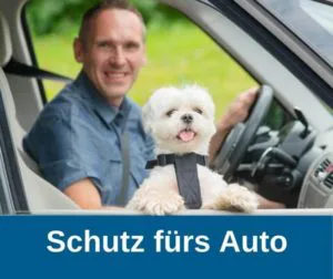 Schutz fürs Auto