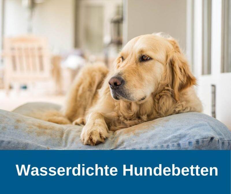 Wasserdichte Hundebetten
